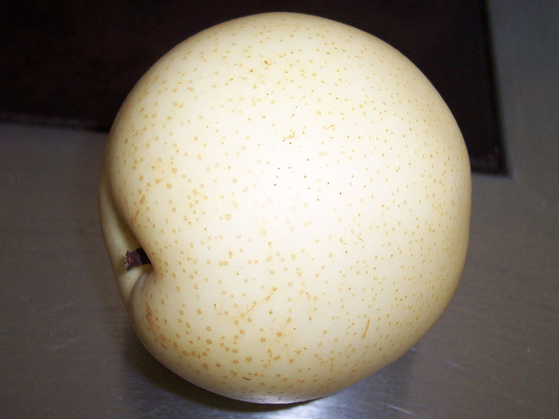 Nashi-Birne