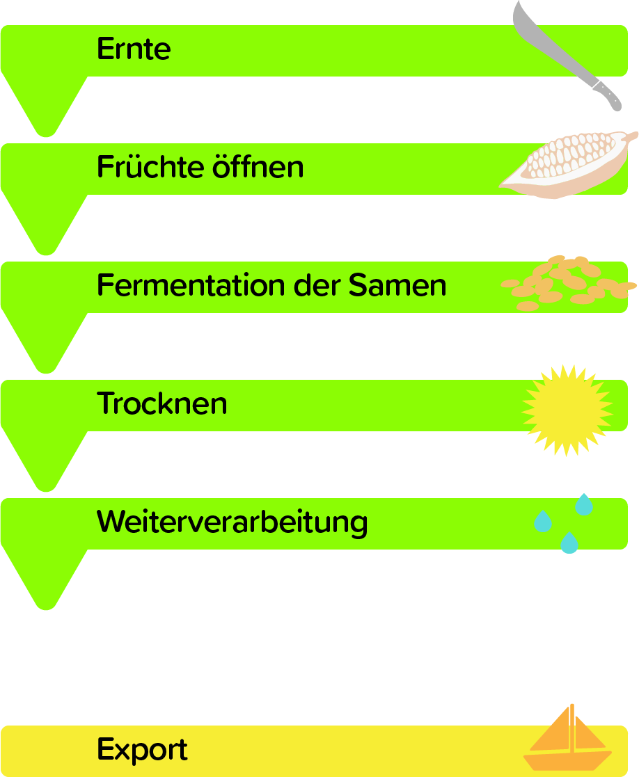 Kakaoverarbeitung