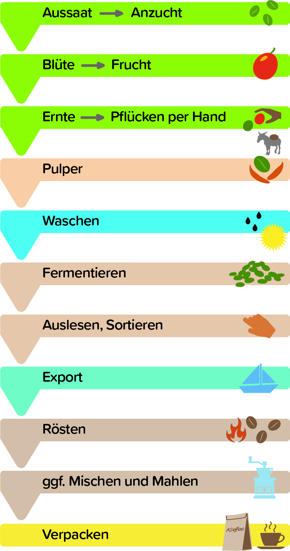 Kaffeeverarbeitung