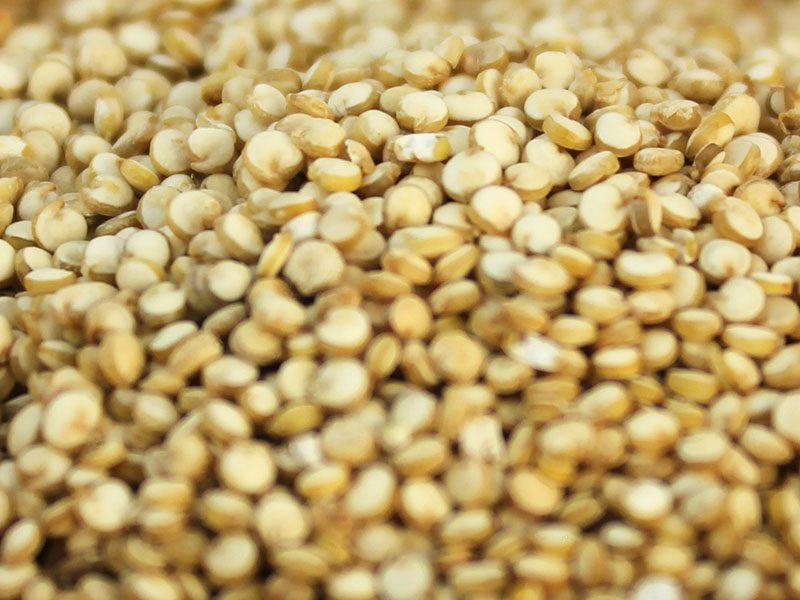 Amaranth