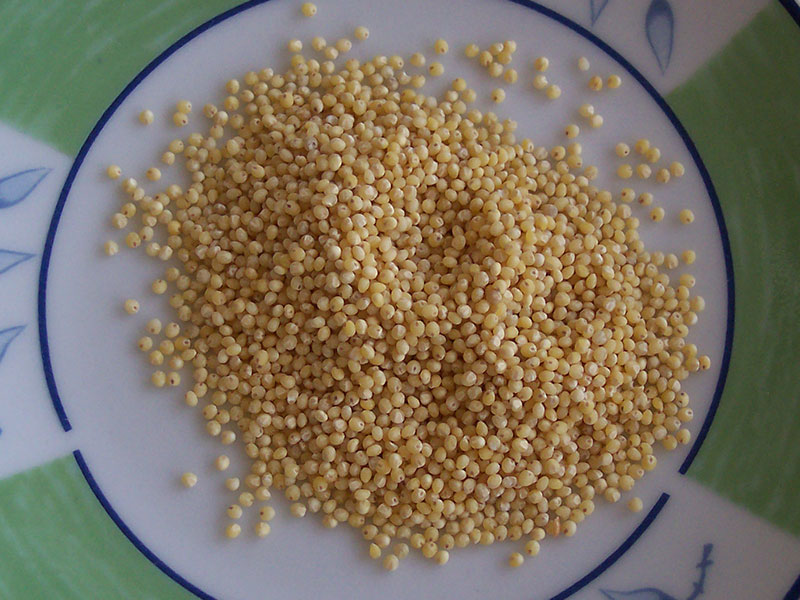 Hirse