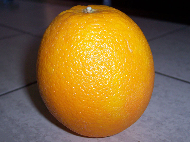 Orangen