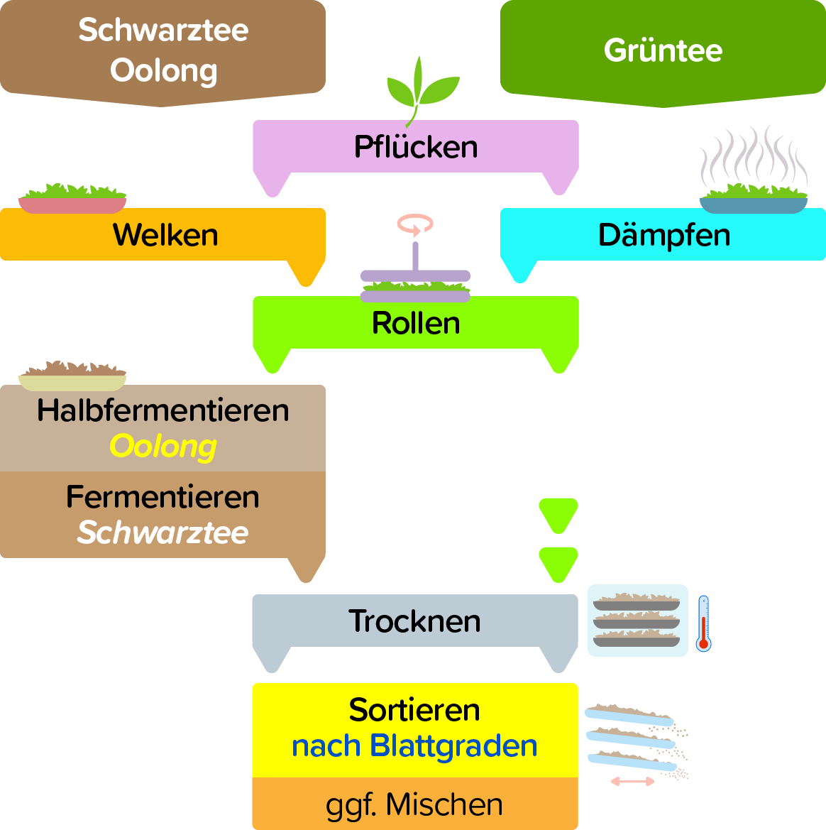 Teeverarbeitung